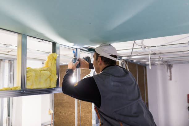Best Geographic-Specific Insulation Services in Ridgetop, TN