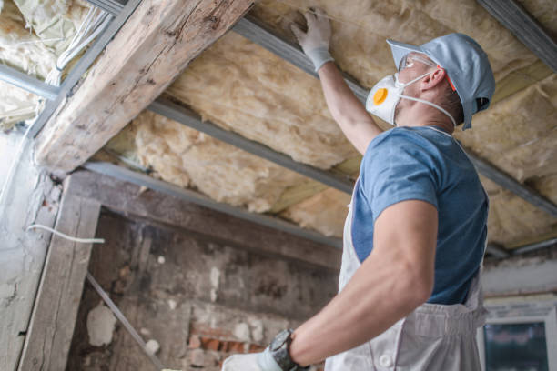 Professional Insulation Contractor in Ridgetop, TN