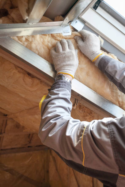 Types of Insulation We Offer in Ridgetop, TN